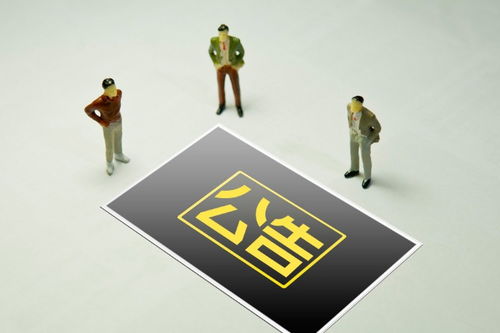 强化信息透明与监管协同 交易所公告与中国日报网信息咨询的双向赋能